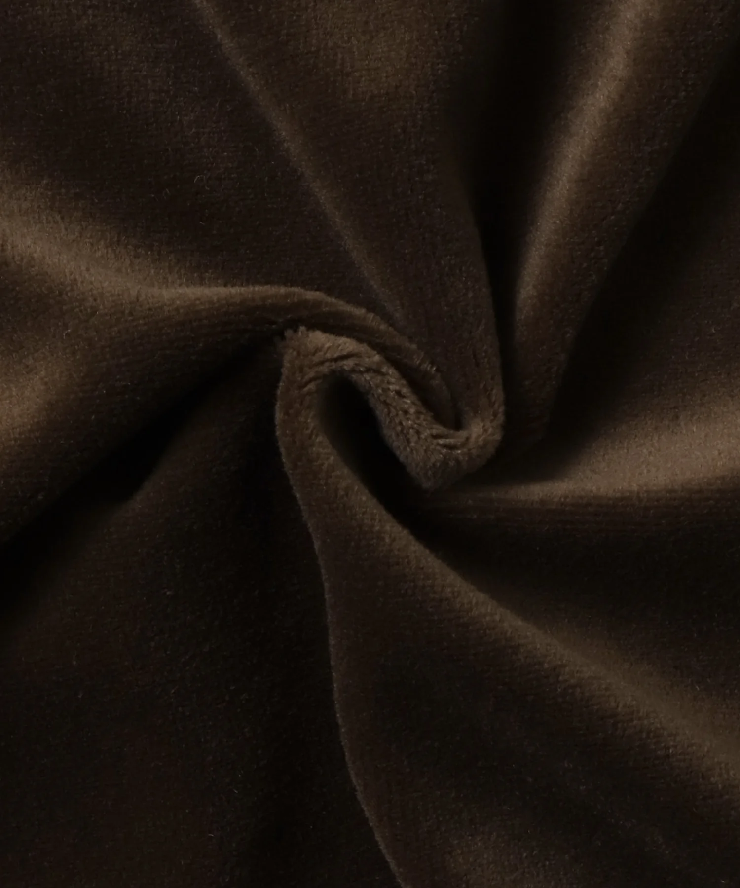 ベロア リンガーTシャツ